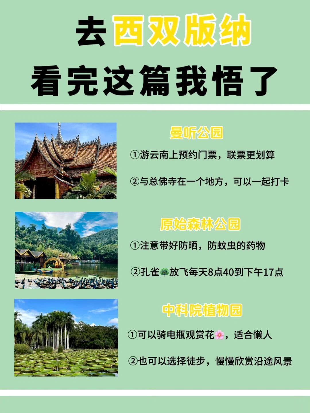 純玩西雙版納旅游攻略，純玩西雙版納探險之旅攻略